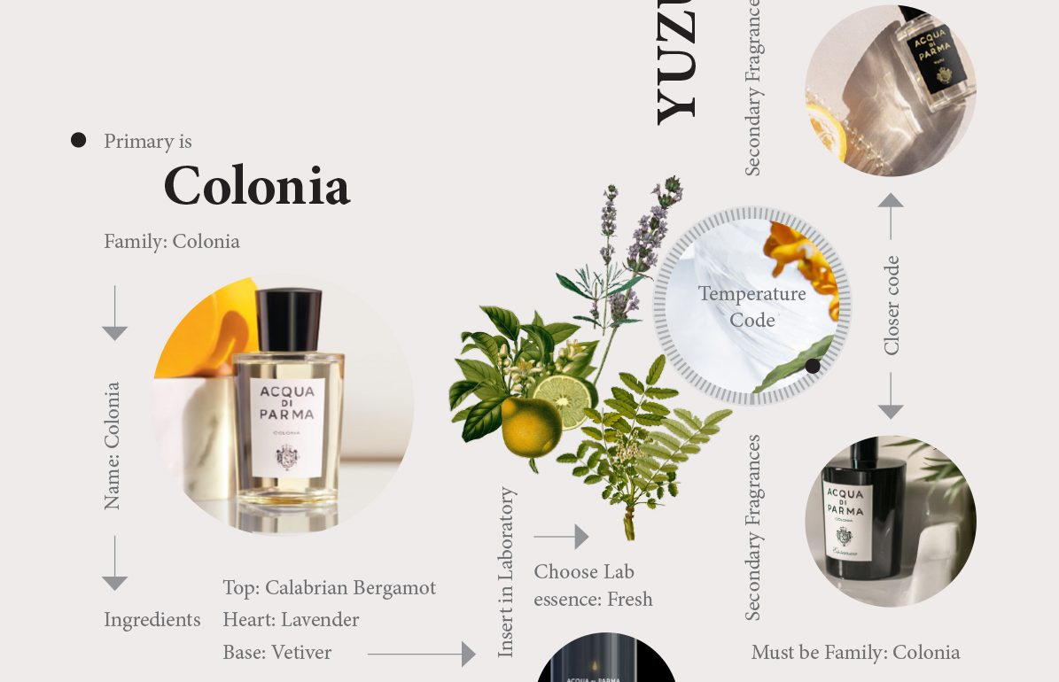 schema per la creazione della fragranza presso lo store lvmh acqua di parma